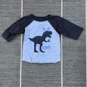 Dinosaur Easter Bunny Raglan Shirt